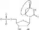 Fig. 86 - MODIFIED NUCLEOSIDES, NUCLEOTIDES, AND NUCLEIC ACIDS, AND USES THEREOF