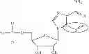 Fig. 89 - MODIFIED NUCLEOSIDES, NUCLEOTIDES, AND NUCLEIC ACIDS, AND USES THEREOF