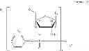Fig. 06 - Nucleotide and/or oligonucleotide and preparation process thereof