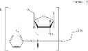 Fig. 09 - Nucleotide and/or oligonucleotide and preparation process thereof