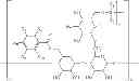 Fig. 08 - Guar gum containing compounds