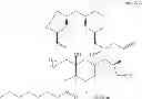 Fig. 167 - Bryostatin analogues, synthetic methods and uses