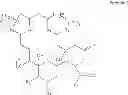 Fig. 197 - Bryostatin analogues, synthetic methods and uses