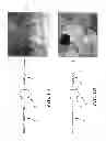 Fig. 02 - SELF-DECONTAMINATING METAL ORGANIC FRAMEWORKS