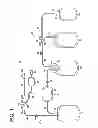 Fig. 02 - Clamp and blood bag system