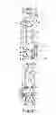 Fig. 12 - SPINAL CORRECTION AND SECONDARY STABILIZATION
