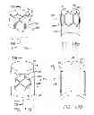 Fig. 12 - Modular graft component junctions