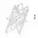 Fig. 19 - Bioabsorbable polymeric medical device