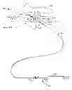 Fig. 01 - Cervical distraction method