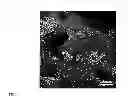 Fig. 07 - Compositions and methods for repair or regeneration of soft tissue