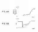 Fig. 07 - Automatic stopping device and automatic stopping method for internal combustion engine