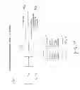 Fig. 06 - Video generation based on text