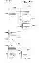 Fig. 52 - MANAGING CONSISTENT INTERFACES FOR INDIAN PAYROLL BUSINESS OBJECTS ACROSS HETEROGENEOUS SYSTEMS