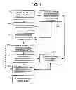 Fig. 02 - System and method for management and delivery of content and rules