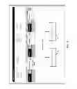Fig. 25 - FOOD TRACING AND TRACKING SYSTEM AND METHOD