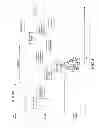 Fig. 09 - Experience Graph