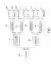 Fig. 07 - System and a Method for Sharing Computing Resources Associated to Scientific Publications