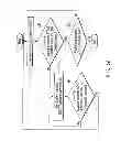 Fig. 52 - INFORMATION REPRODUCING SYSTEM USING INFORMATION STORAGE MEDIUM