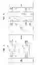 Fig. 02 - Signal transfer circuit for offsetting signal delay