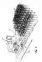 Fig. 02 - Stem Deflector