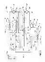 Fig. 07 - Ejector cycle