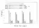 Fig. 01 - Recovery of phosphorous from poultry litter