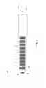 Fig. 04 - Ratchet with coated layer and the method for making the same