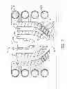 Fig. 03 - Fuel injector having differential tip cooling system and method