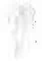 Fig. 02 - Hair styling device