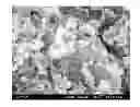 Fig. 01 - IGZO NANOPARTICLE AND MANUFACTURING METHOD AND USE THEREOF