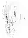 Fig. 02 - Skimming systems and methods