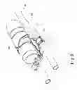 Fig. 09 - ADJUSTABLE SUPPORT DEVICE FOR BIKE AUXILIARY HANDLES