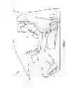 Fig. 02 - Seatbelt retractor