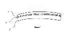 Fig. 02 - Photochromic Lens