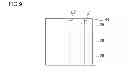 Fig. 10 - Fluorescent member and light emitting module