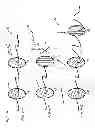 Fig. 05 - Lighting device of a vehicle