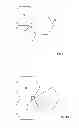Fig. 09 - Modular Phased-Array Antenna