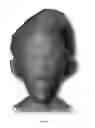 Fig. 13 - System and method for automatic rigging of three dimensional characters for facial animation