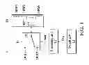 Fig. 02 - INPUT/OUTPUT DEVICES AND DISPLAY APPARATUSES USING THE SAME