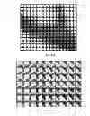 Fig. 08 - Thin plenoptic cameras using solid immersion lenses