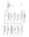 Fig. 02 - METHOD FOR MAKING EVENT-RELATED MEDIA COLLECTION