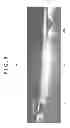 Fig. 07 - IMAGING SYSTEM AND IMAGING DEVICE