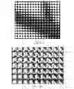 Fig. 08 - Thin plenoptic cameras using microspheres