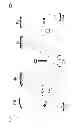 Fig. 01 - Spectra shaping device for chirped pulse amplification