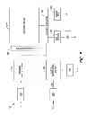 Fig. 06 - Method and apparatus for dual rail SRAM level shifter with latching