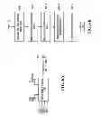 Fig. 10 - METHOD AND APPARATUS FOR CONTROLLING DATA TRANSMISSION DURING A CIRCUIT SWITCHED CALL