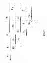 Fig. 22 - System and method for scalable multifunctional network communication