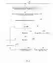 Fig. 06 - Method and system for low complexity conjugate gradient based equalization in a wireless system