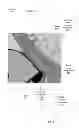 Fig. 06 - Methods and apparatus for improved display of foreground elements