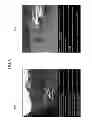 Fig. 09 - Automatic event detection, text generation, and use thereof